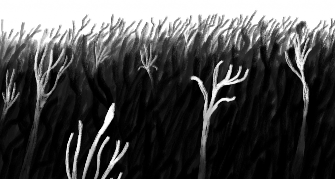 Transfiguration(s) Transfiguration(s)